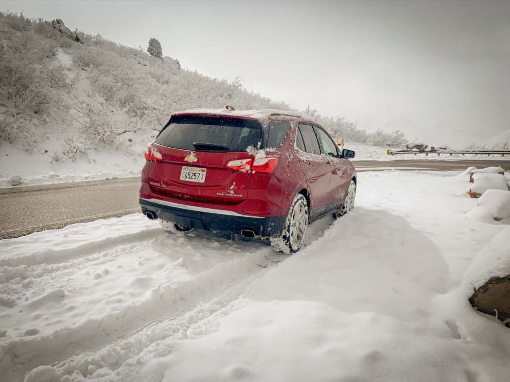 Chevrolet Equinox rear